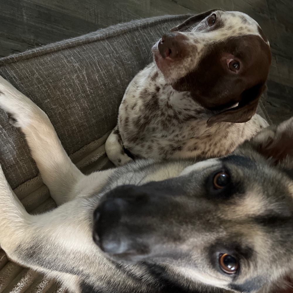 Meet your Posher, Isa